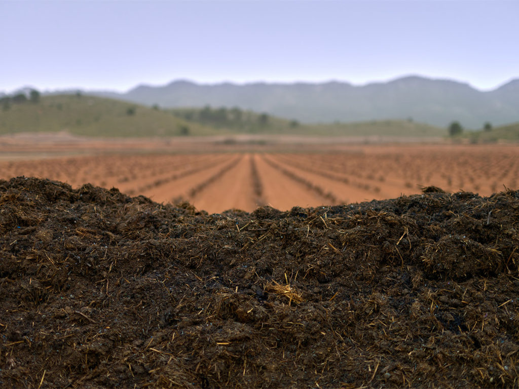 Bioretention Soil Mix Planting media for bioretention ponds